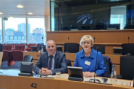 Članovi delegacije PSBiH u Interparlamentarnoj skupštini pravoslavlja Ljubica Miljanović i Nenad Grković učestvovali u Briselu na Konferenciji o dijalogu EU i religija